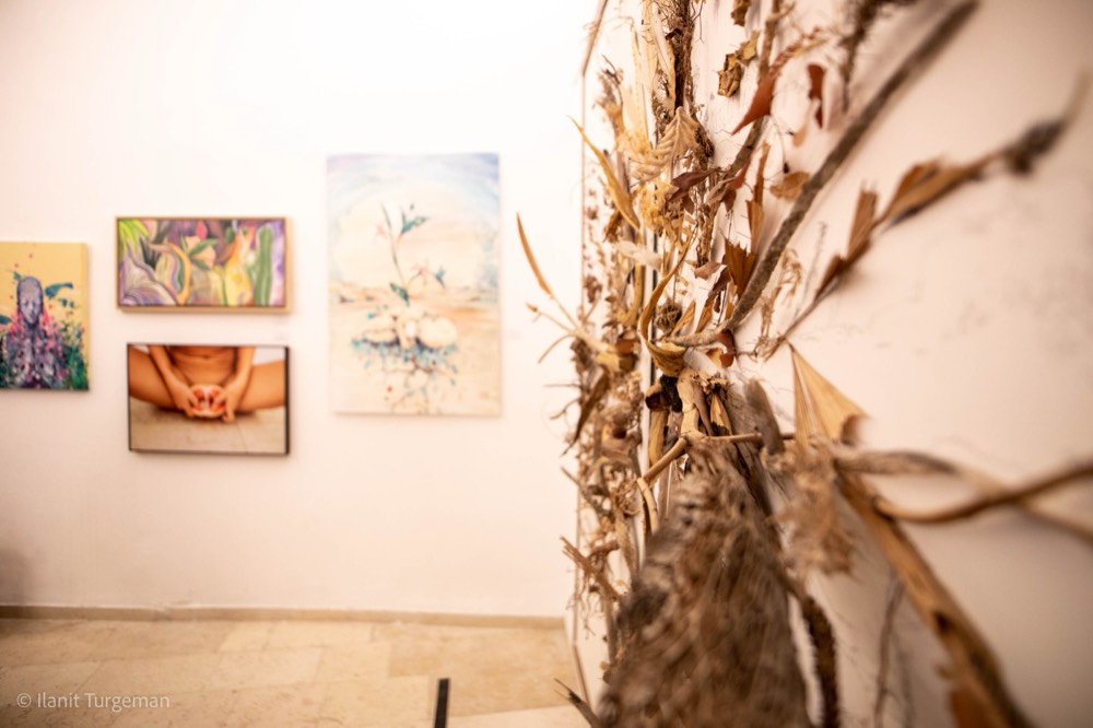 Beezone Gallery